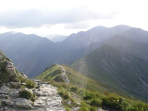 Tatry Sowackie i Czerwone Wierchy z drogi na Kasprowy Wierch